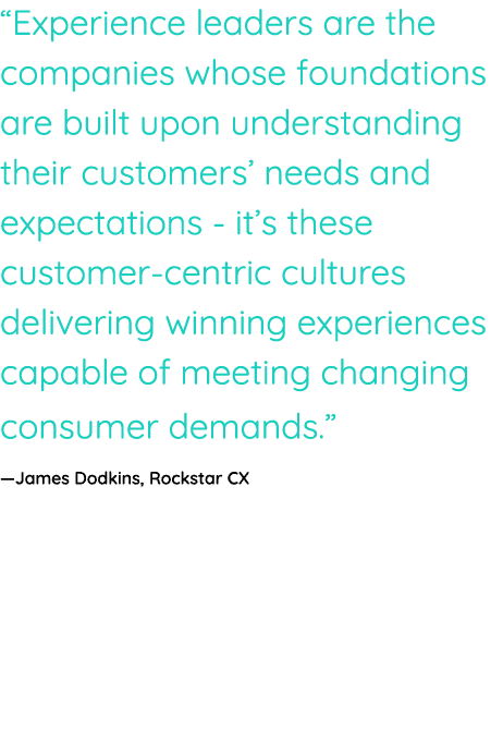  Experience leaders are the companies whose foundations are built upon understanding their customers  needs and expec   