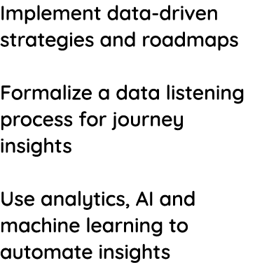 Implement data-driven strategies and roadmaps Formalize a data listening process for journey insights Use analytics,    